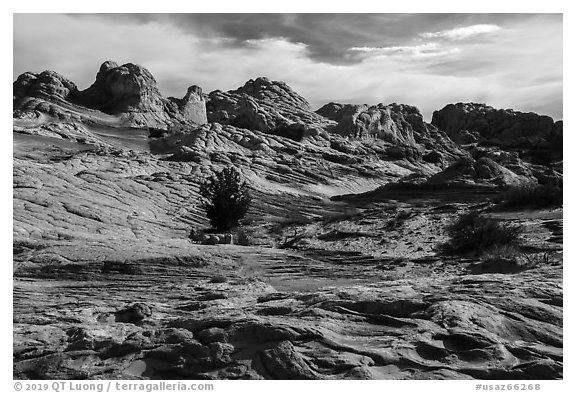 Soft sediment deformation landscape. Vermilion Cliffs National Monument, Arizona, USA (black and white)