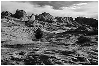 Soft sediment deformation landscape. Vermilion Cliffs National Monument, Arizona, USA ( black and white)