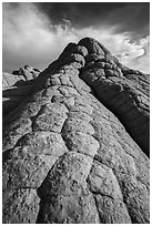 Cauliflower rock, White Pocket. Vermilion Cliffs National Monument, Arizona, USA ( black and white)