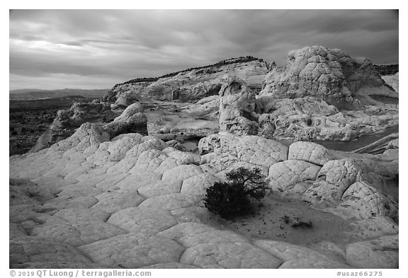 White pocket, evening. Vermilion Cliffs National Monument, Arizona, USA (black and white)