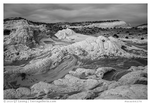 White pocket at dusk. Vermilion Cliffs National Monument, Arizona, USA (black and white)