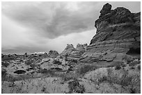 Cottonwood Teepees, Coyote Buttes South. Vermilion Cliffs National Monument, Arizona, USA ( black and white)