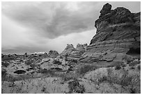 Cottonwood Teepees, Coyote Buttes South. Vermilion Cliffs National Monument, Arizona, USA ( black and white)