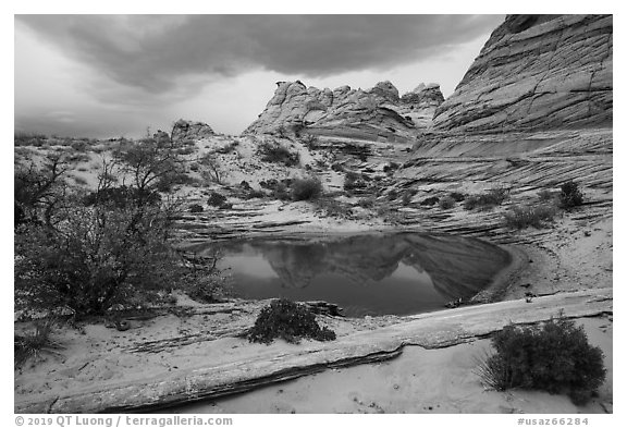 Pond reflecting Cottonwood Teepees. Vermilion Cliffs National Monument, Arizona, USA (black and white)