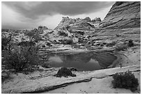 Pond reflecting Cottonwood Teepees. Vermilion Cliffs National Monument, Arizona, USA ( black and white)