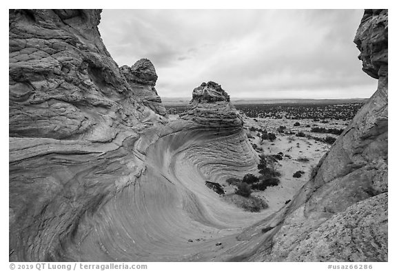 Twirling rock formations, Coyote Buttes South. Vermilion Cliffs National Monument, Arizona, USA (black and white)