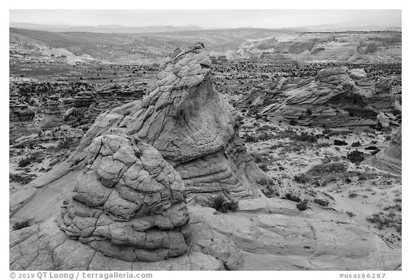 Coyote Buttes South. Vermilion Cliffs National Monument, Arizona, USA (black and white)