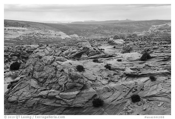 Sandstone landscape of Coyote Buttes South. Vermilion Cliffs National Monument, Arizona, USA (black and white)