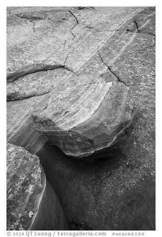 Detail of striations and rock, Coyote Buttes South. Vermilion Cliffs National Monument, Arizona, USA (black and white)