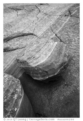 Detail of striations and rock, Coyote Buttes South. Vermilion Cliffs National Monument, Arizona, USA (black and white)