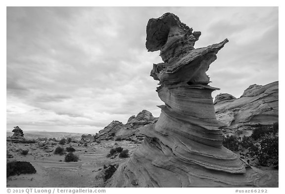 Control Tower rock, Coyote Buttes South. Vermilion Cliffs National Monument, Arizona, USA (black and white)