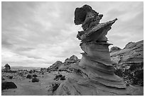 Control Tower rock, Coyote Buttes South. Vermilion Cliffs National Monument, Arizona, USA ( black and white)