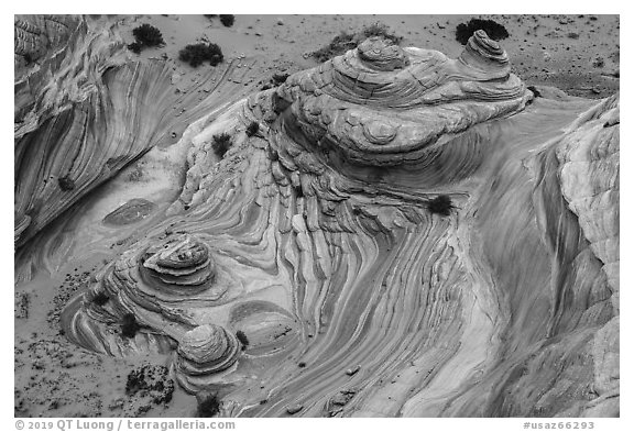 Buttes from above, Coyote Buttes South. Vermilion Cliffs National Monument, Arizona, USA (black and white)