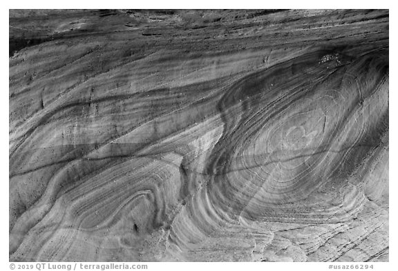 Multicolored swirl, Coyote Buttes South. Vermilion Cliffs National Monument, Arizona, USA (black and white)