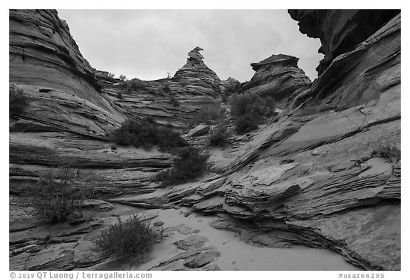 Twisted sandstone buttes, Coyote Buttes South. Vermilion Cliffs National Monument, Arizona, USA (black and white)