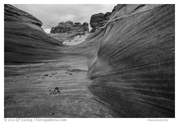 Striated canyon, Third Wave, Coyote Buttes South. Vermilion Cliffs National Monument, Arizona, USA (black and white)