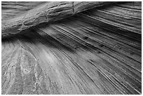 Striation details, Third Wave, Coyote Buttes South. Vermilion Cliffs National Monument, Arizona, USA ( black and white)