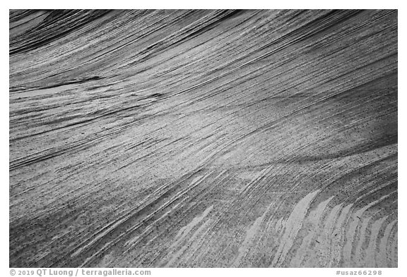 Multicolored striations, Third Wave, Coyote Buttes South. Vermilion Cliffs National Monument, Arizona, USA (black and white)