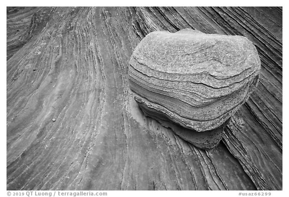 Rock and striations, Third Wave, Coyote Buttes South. Vermilion Cliffs National Monument, Arizona, USA (black and white)