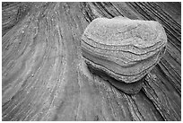 Rock and striations, Third Wave, Coyote Buttes South. Vermilion Cliffs National Monument, Arizona, USA ( black and white)