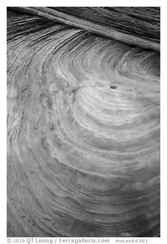 Swirls and striations, Coyote Buttes South. Vermilion Cliffs National Monument, Arizona, USA (black and white)