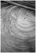 Swirls and striations, Coyote Buttes South. Vermilion Cliffs National Monument, Arizona, USA ( black and white)