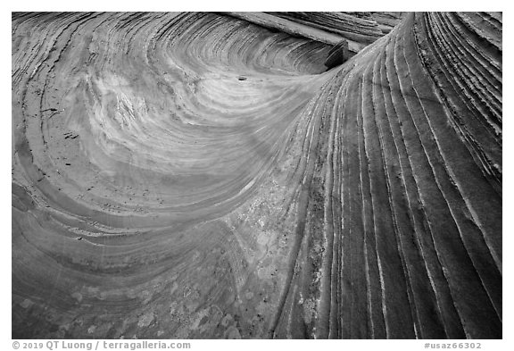 Third Wave, Coyote Buttes South. Vermilion Cliffs National Monument, Arizona, USA (black and white)