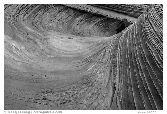 Striated multicolored rock, Coyote Buttes South. Vermilion Cliffs National Monument, Arizona, USA (black and white)