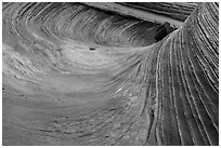 Striated multicolored rock, Coyote Buttes South. Vermilion Cliffs National Monument, Arizona, USA ( black and white)