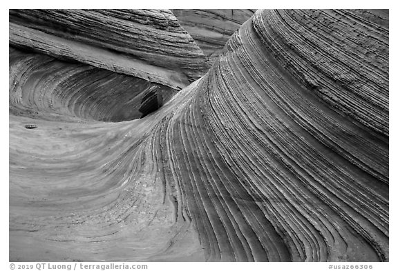 Third Wave, rain, Coyote Buttes South. Vermilion Cliffs National Monument, Arizona, USA (black and white)