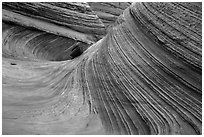 Third Wave, rain, Coyote Buttes South. Vermilion Cliffs National Monument, Arizona, USA ( black and white)