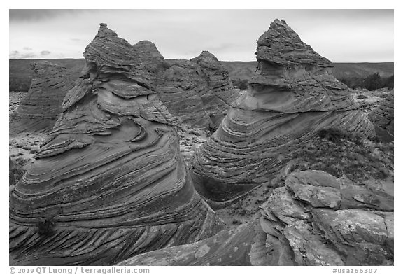 Paw Hole Teepees, Coyote Buttes South. Vermilion Cliffs National Monument, Arizona, USA (black and white)