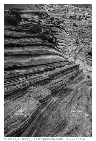 Sunset Buttes, Coyote Buttes South. Vermilion Cliffs National Monument, Arizona, USA (black and white)