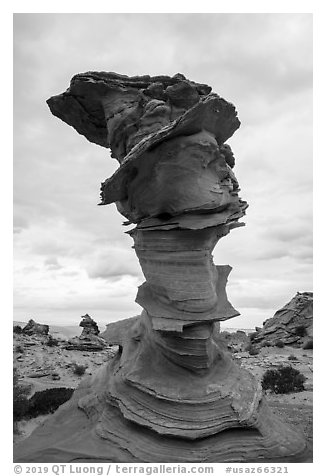 Dali rock, Coyote Buttes South. Vermilion Cliffs National Monument, Arizona, USA (black and white)