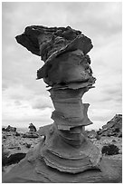 Dali rock, Coyote Buttes South. Vermilion Cliffs National Monument, Arizona, USA ( black and white)