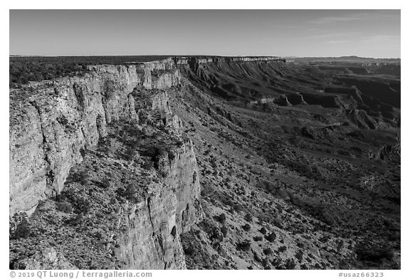 Grand Canyon rim Cliffs. Grand Canyon-Parashant National Monument, Arizona, USA (black and white)