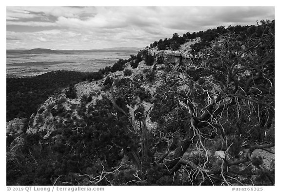 Arizona Strip from Mt. Trumbull range. Grand Canyon-Parashant National Monument, Arizona, USA (black and white)