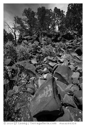 Talus with petroglyph, Nampaweap. Grand Canyon-Parashant National Monument, Arizona, USA (black and white)