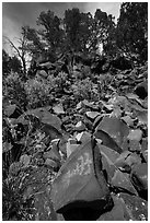 Talus with petroglyph, Nampaweap. Grand Canyon-Parashant National Monument, Arizona, USA ( black and white)