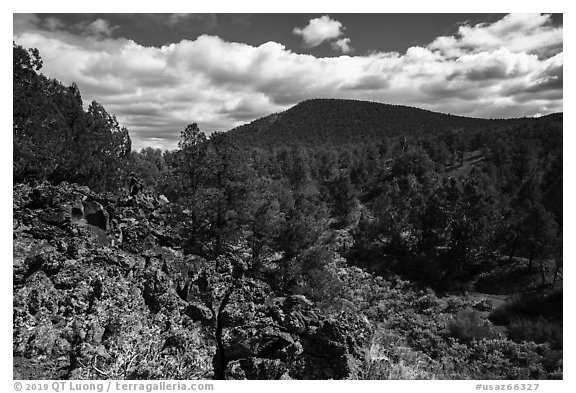 Forested volcanic peaks, Mt. Trumbull range. Grand Canyon-Parashant National Monument, Arizona, USA (black and white)