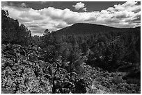 Forested volcanic peaks, Mt. Trumbull range. Parashant National Monument, Arizona, USA ( black and white)