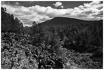 Forested volcanic peaks, Mt. Trumbull range. Grand Canyon-Parashant National Monument, Arizona, USA ( black and white)