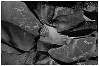 Petroglyphs etched into black basalt rock, Nampaweap. Parashant National Monument, Arizona, USA ( black and white)