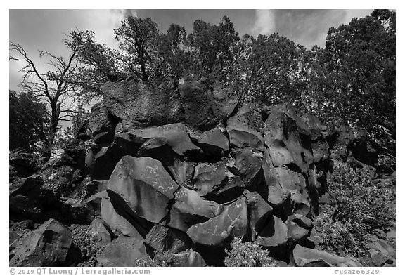 Nampaweap Rock Art Site. Grand Canyon-Parashant National Monument, Arizona, USA (black and white)