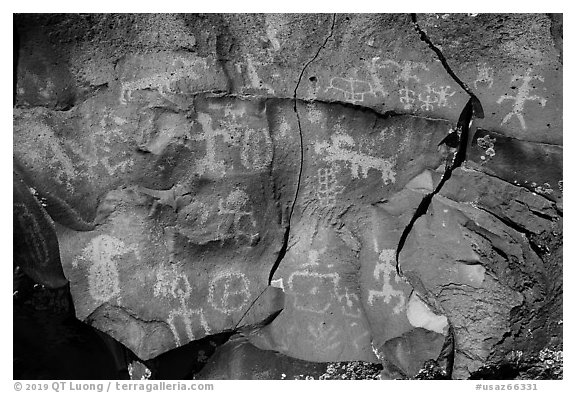 Petroglyph panel on basalt, Nampaweap. Grand Canyon-Parashant National Monument, Arizona, USA (black and white)