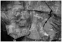 Petroglyph panel on basalt, Nampaweap. Parashant National Monument, Arizona, USA ( black and white)