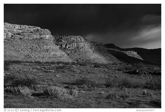 Steppe and cliffs. Grand Canyon-Parashant National Monument, Arizona, USA (black and white)