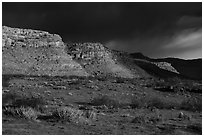 Steppe and cliffs. Parashant National Monument, Arizona, USA ( black and white)