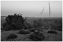 Twin Point at dusk. Grand Canyon-Parashant National Monument, Arizona, USA ( black and white)