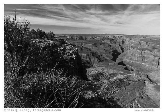 Sanup Plateau and Burnt Canyon from Grand Canyon Rim. Parashant National Monument, Arizona, USA (black and white)